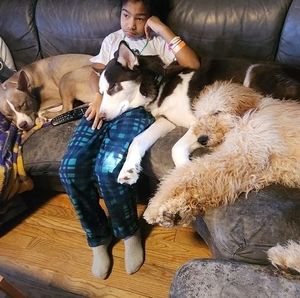 Meet your Posher, Lanaya laroche